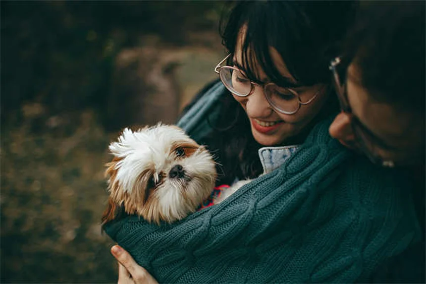 Levetiracetam para Cães e Gatos: Tudo o que Você Precisa Saber